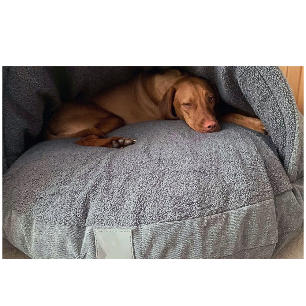 ScritchPets Covered Cave Dog Bed