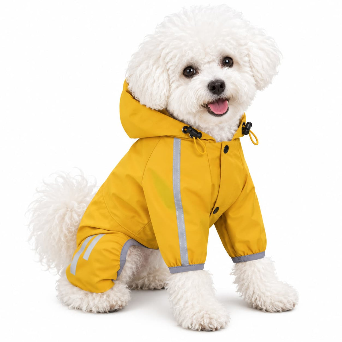 Small white dog wearing a yellow waterproof full body raincoat