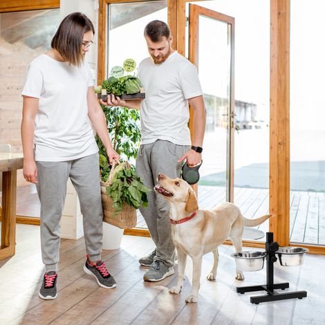 Relaxdays Stainless Steel Feeding Bowl, Set of 2, Height-Adjustable Stand, for Dogs, Non-Slip, 42 x 53 x 26 cm, Silver - 3