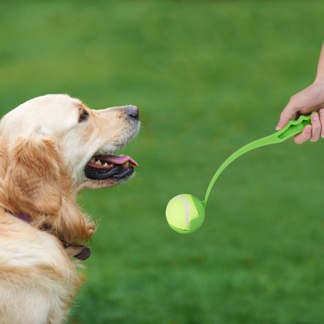 Relaxdays Ball Thrower, for Dogs, Set of 4 Launching Devices, Incl. 10 Balls, Pet Toys for Outdoor & Park, Blue/Green - 2