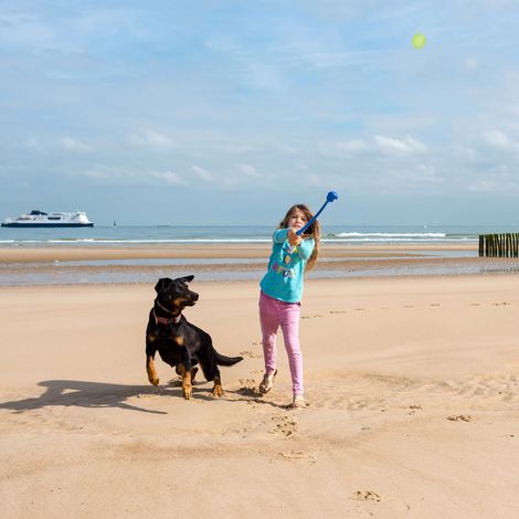 Relaxdays Ball Thrower, for Dogs, Set of 4 Launching Devices, Incl. 10 Balls, Pet Toys for Outdoor & Park, Blue/Green - 3