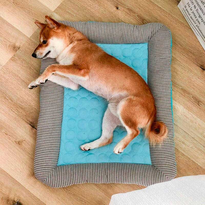 CoolPaws Breathable Ice Silk Pet Cooling Mat - Summer Dog & Cat Bed - Image 1