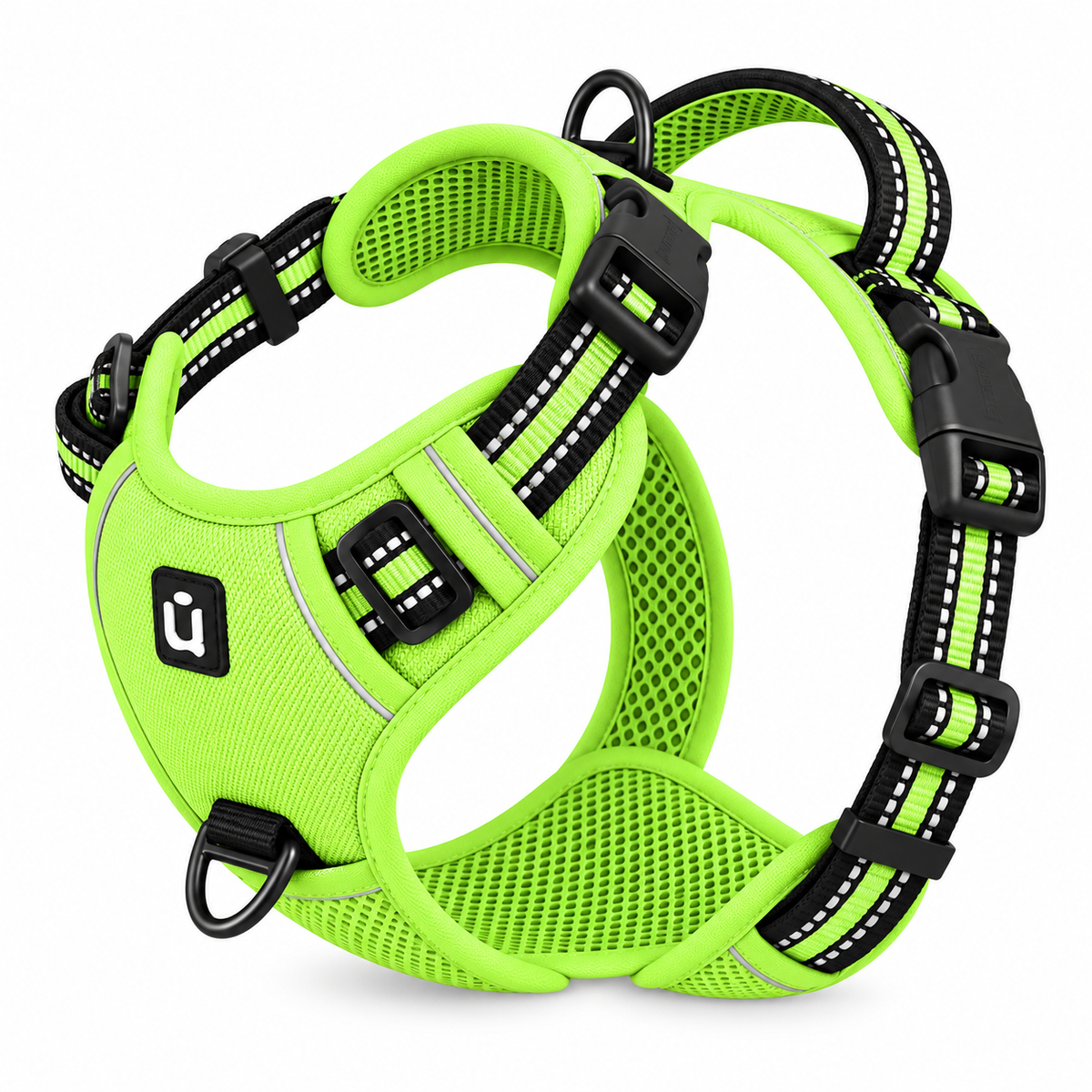 No-pull dog harness in teal colour