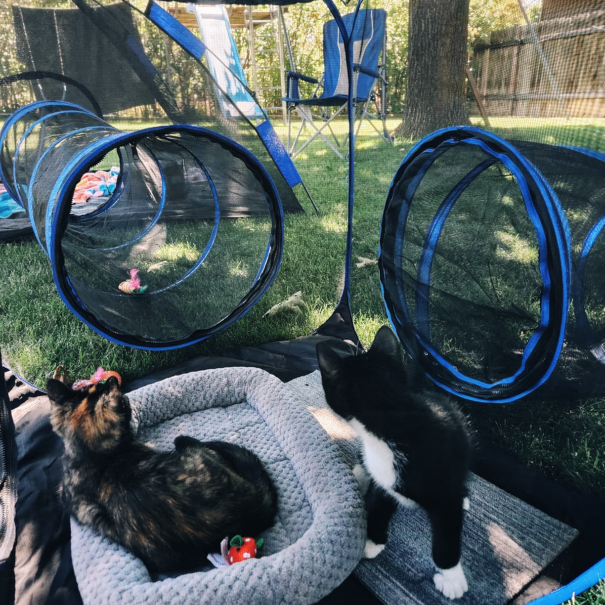 ScritchPets Collapsible Modular Pet Playpen