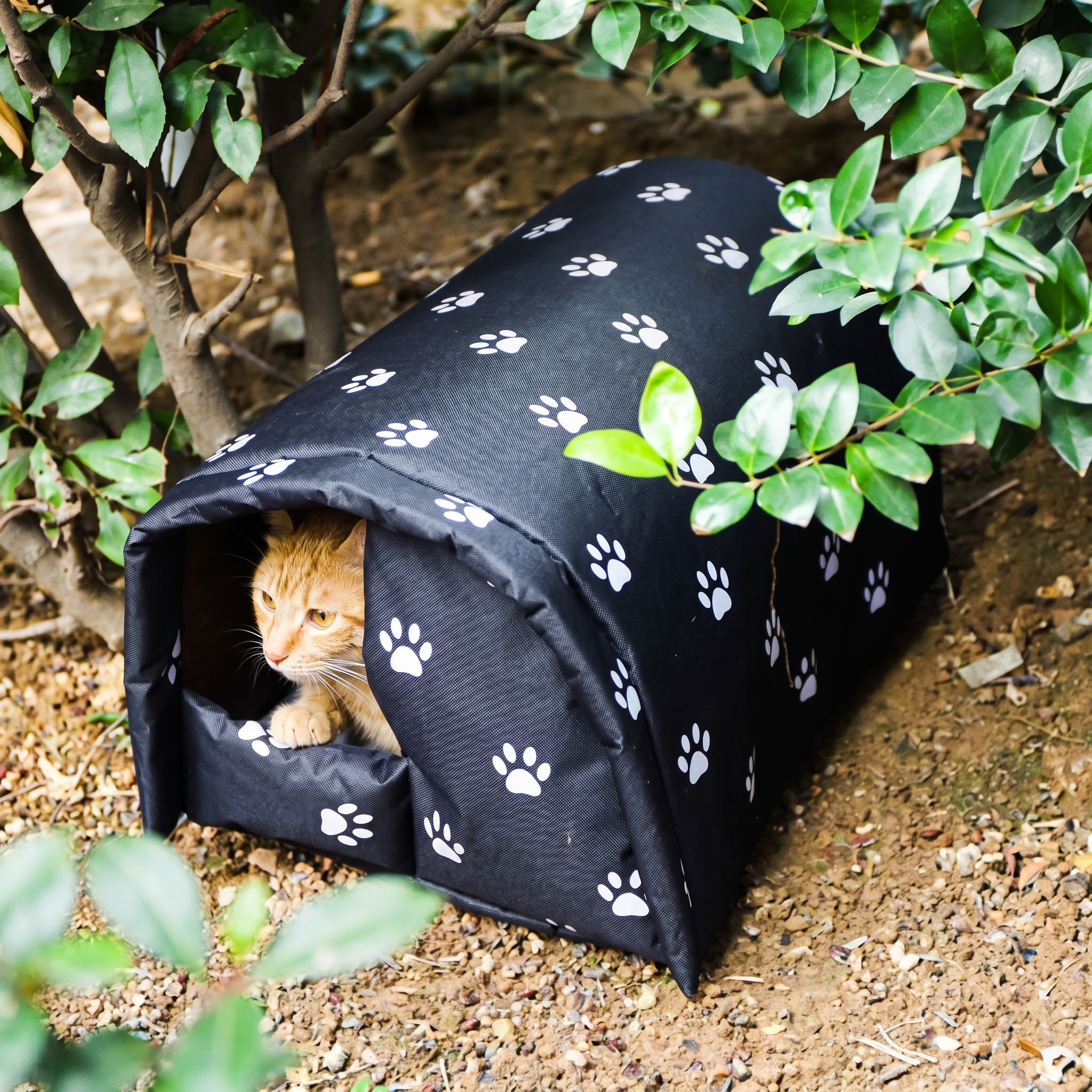 Cat peeking out of ScritchPets Insulated Outdoor Cat House in a garden