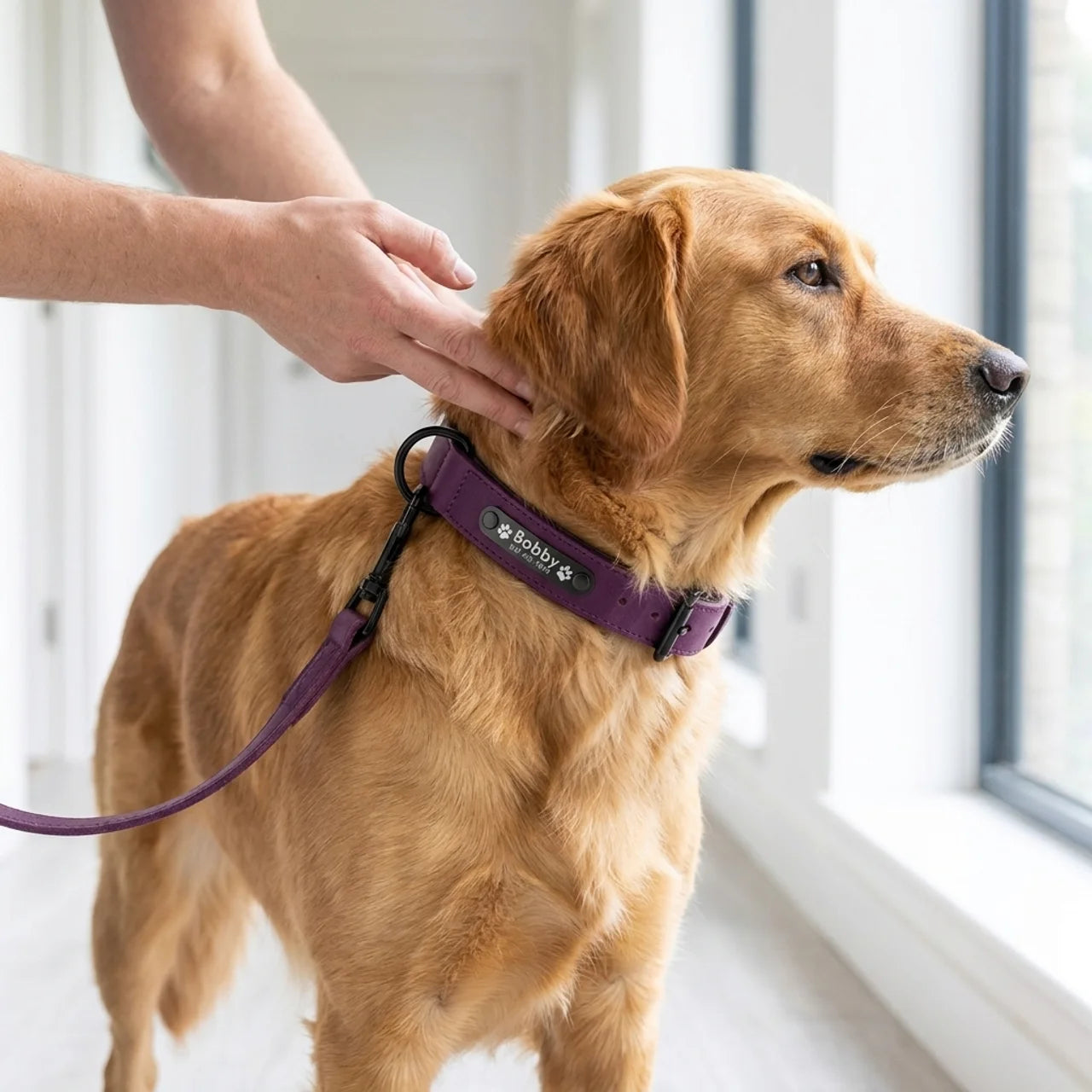 ScritchPets Personalised Leather Dog Collar