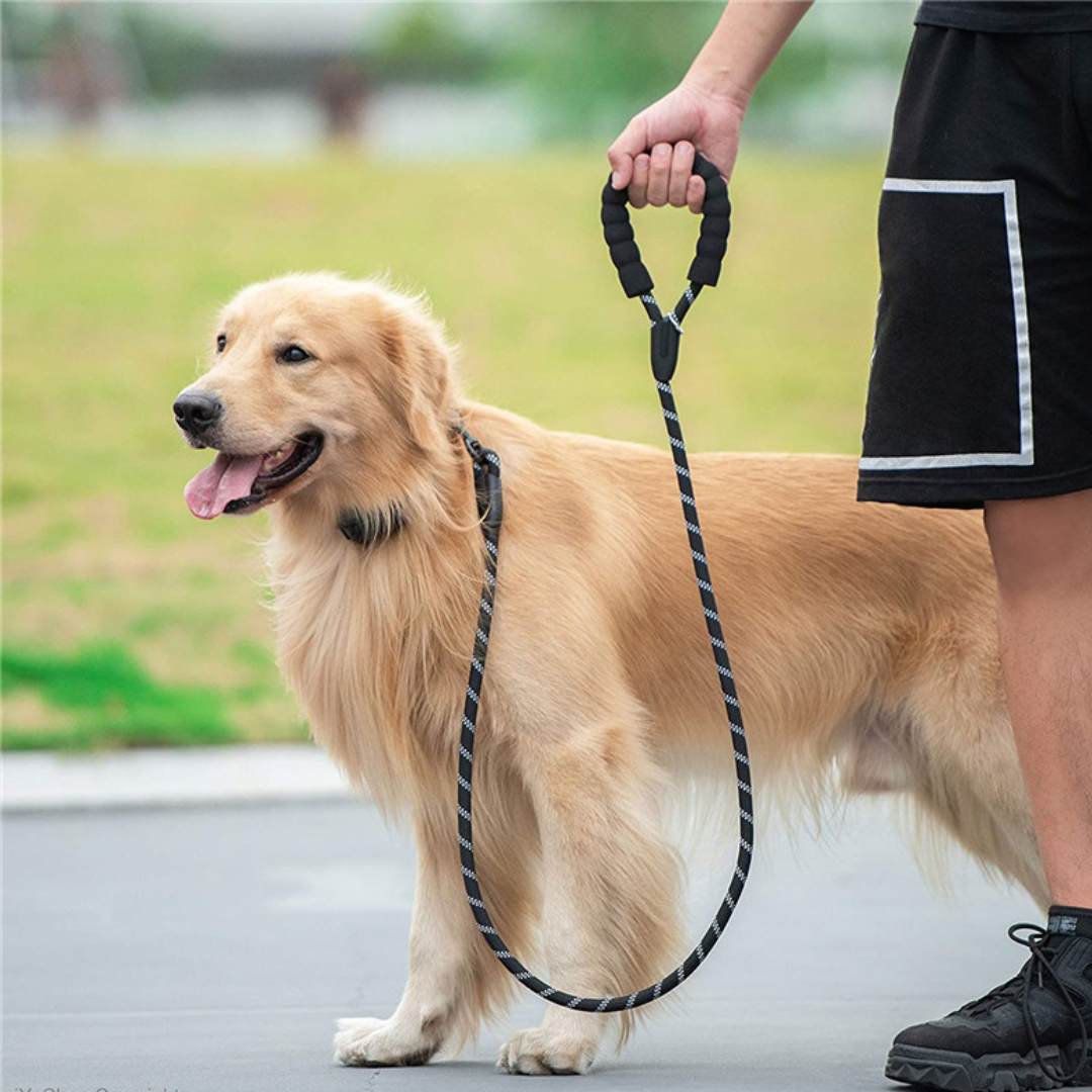 ScritchPets Reflective Dog Walking Leash