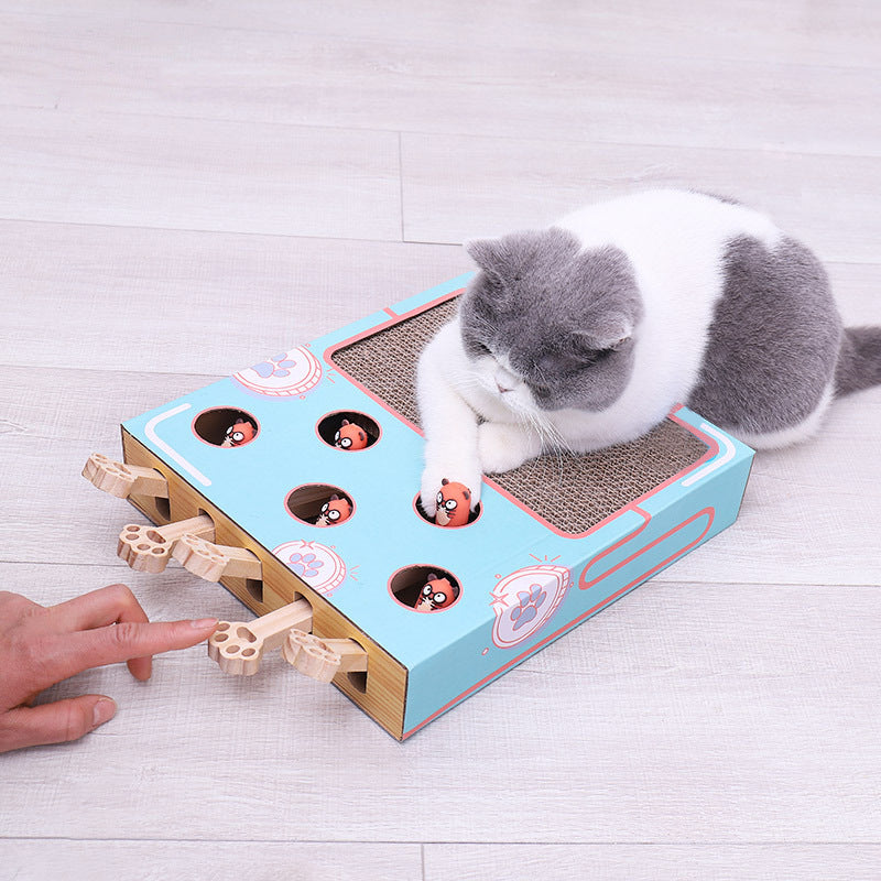 Peek a Boo Multibox Cat Toy