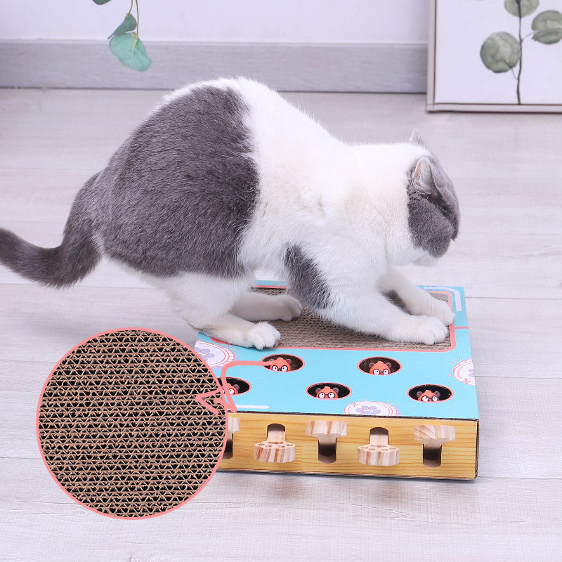 Peek a Boo Multibox Cat Toy