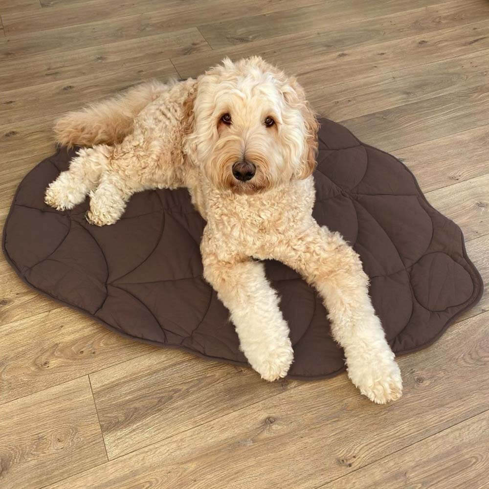 ScritchPets Leaf Shape Dog Blanket Mat