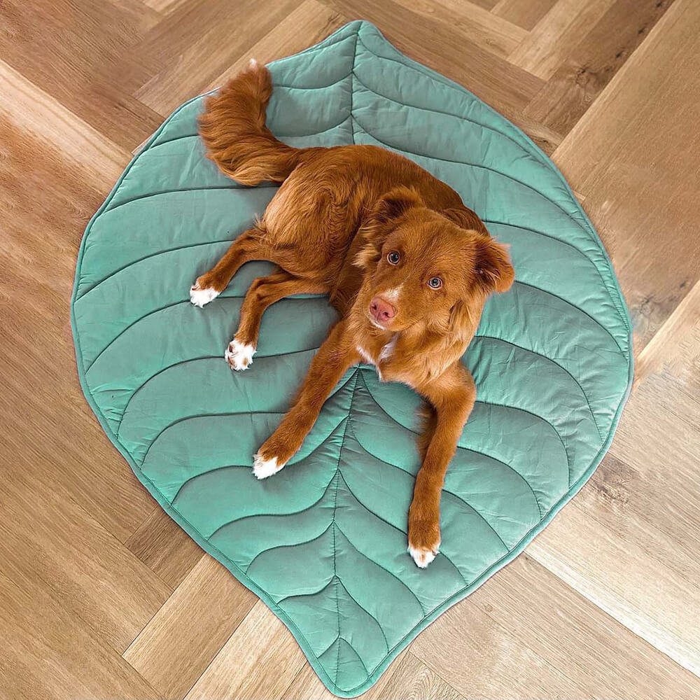 ScritchPets Leaf Shape Dog Blanket Mat