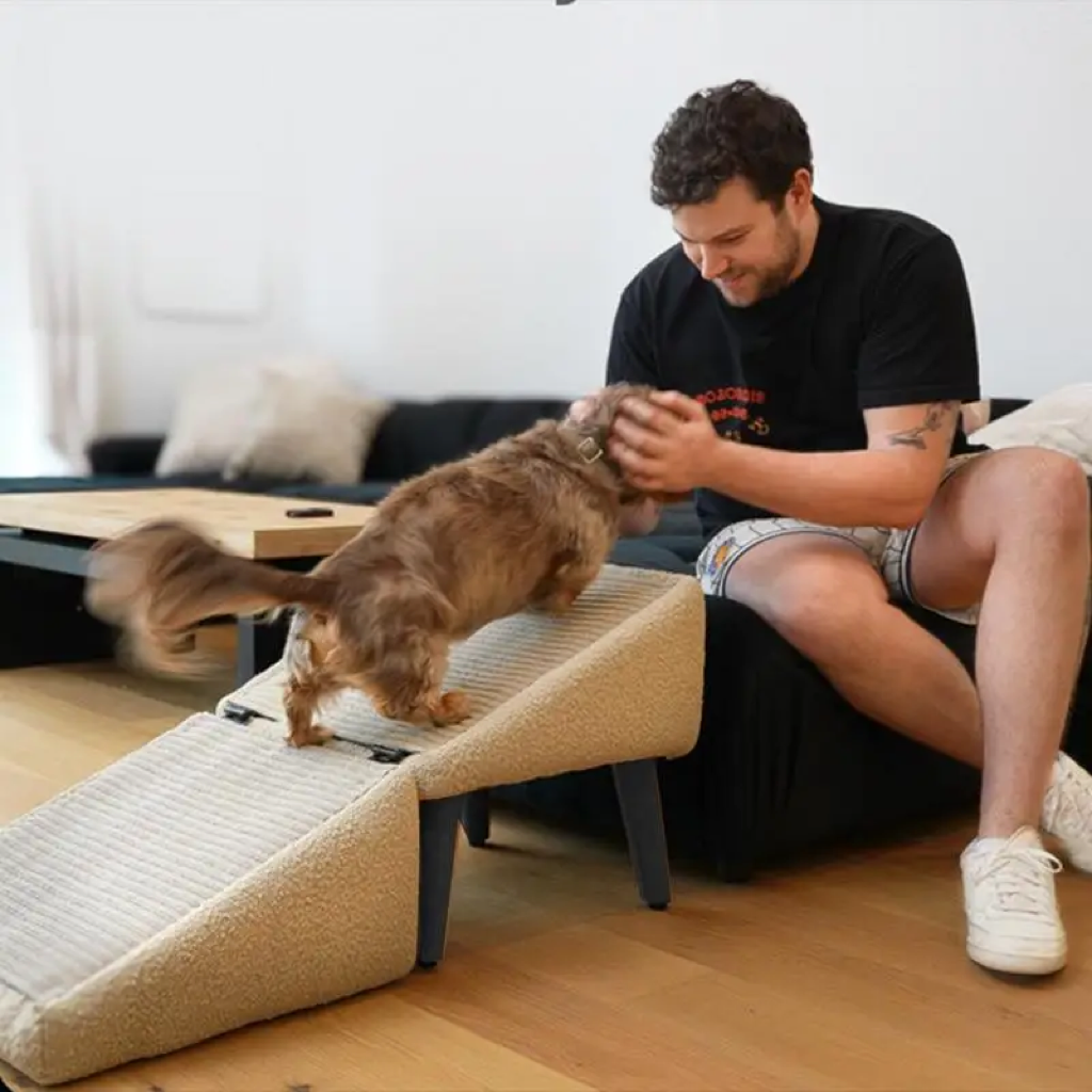 ScritchPets 2-in-1 Dog Ramp & Ottoman